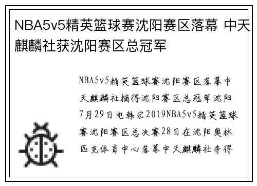 NBA5v5精英篮球赛沈阳赛区落幕 中天麒麟社获沈阳赛区总冠军