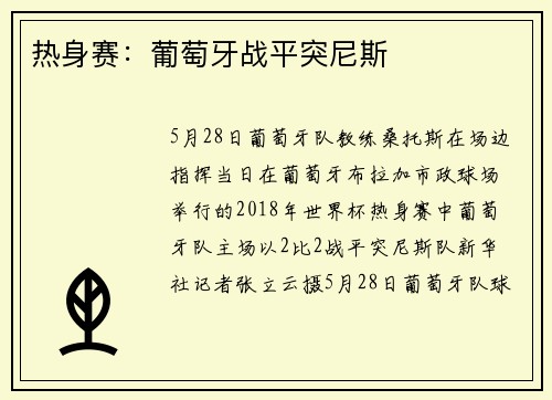热身赛：葡萄牙战平突尼斯